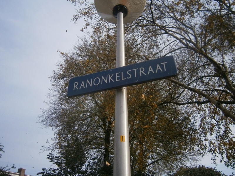 Ranonkelstraat straatnaambord.JPG