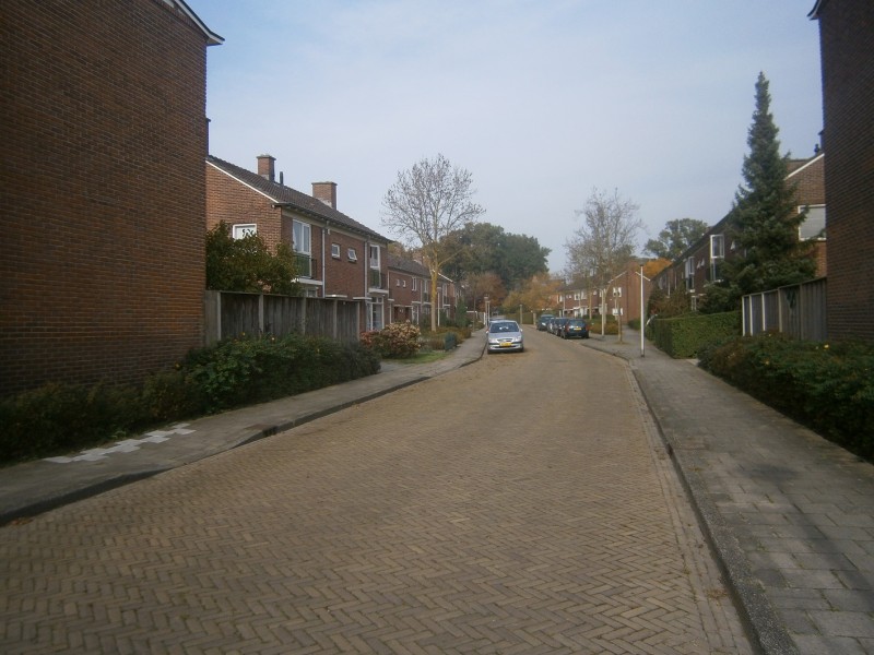 Dr. H.A. Thiadensstraat.JPG