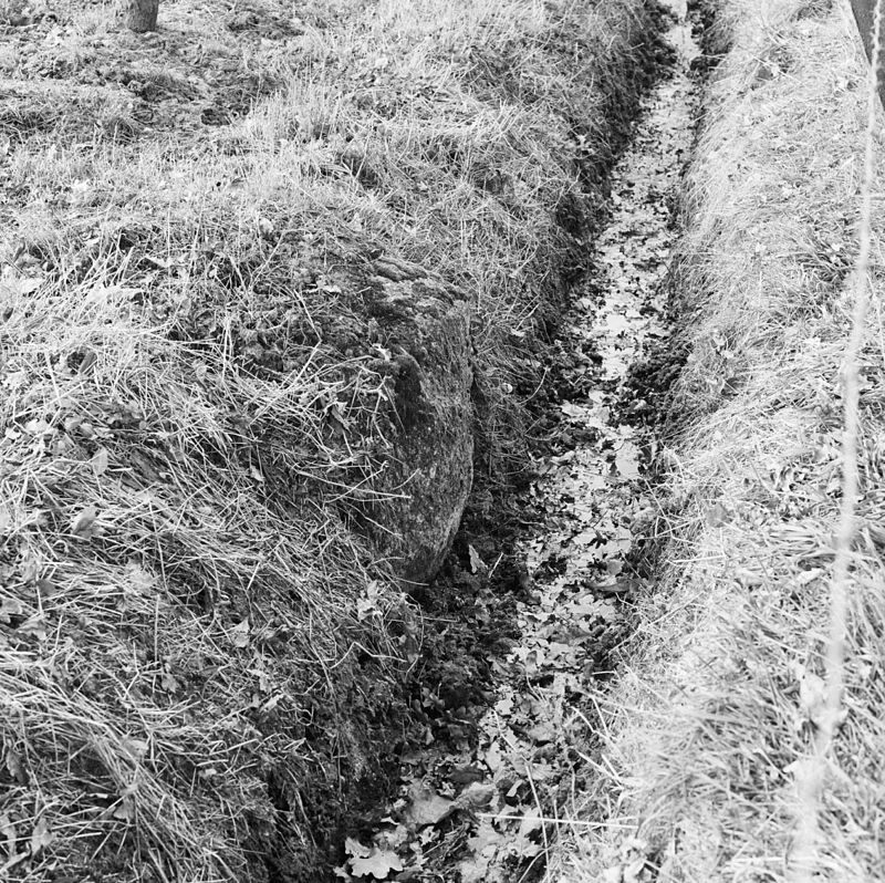 Broekheurnerheegde Usselo. Zwerfkei in weide achter Broekheurnerheegde; scheiding tussen Usseler- en Buursermarke. Rijksmonument.jpg