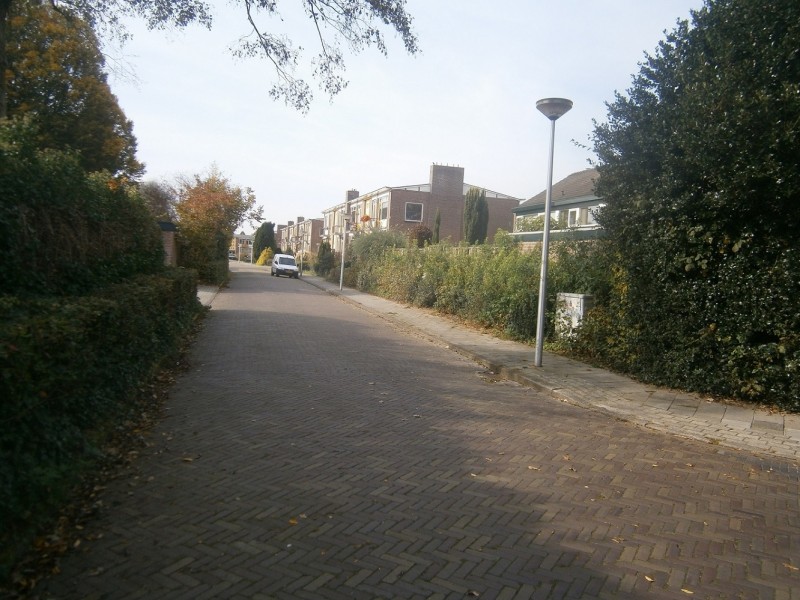 Speenkruidstraat (3).JPG