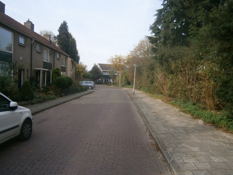 Speenkruidstraat (2).JPG