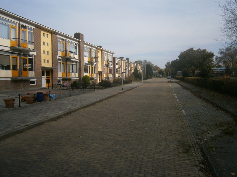 Speenkruidstraat.JPG