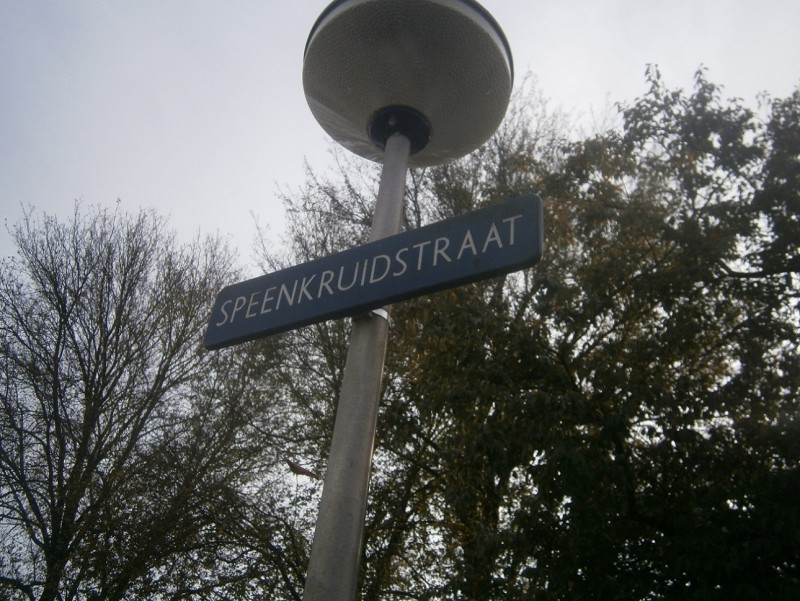 Speenkruidstraat straatnaambord.JPG