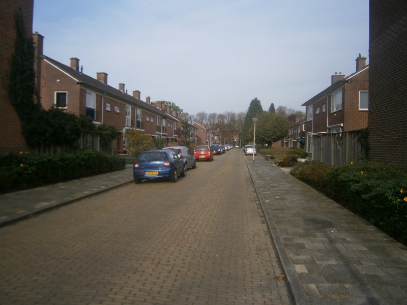 Akeleistraat.JPG