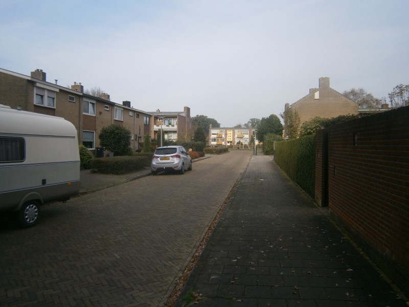 Kamperfoeliestraat (2).JPG