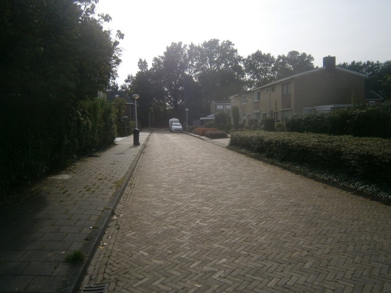 Kamperfoeliestraat.JPG