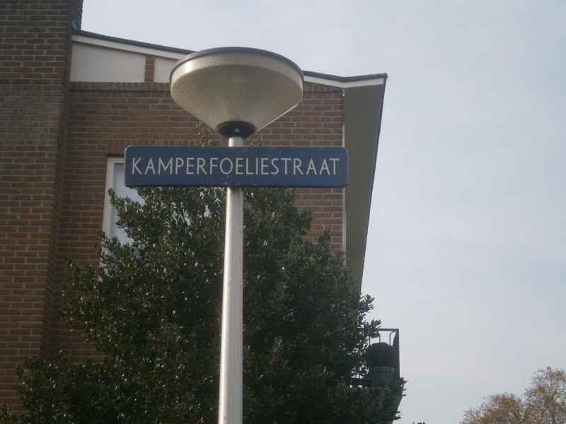 Kamperfoeliestraat straatnaambord.JPG