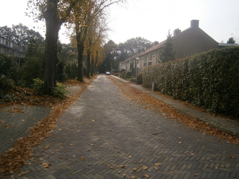 Dr. Bezoenstraat.JPG