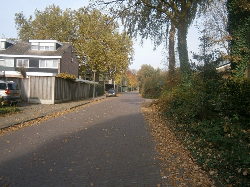 Primulastraat (2).JPG