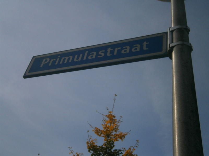 Primulastraat straatnaambord.JPG