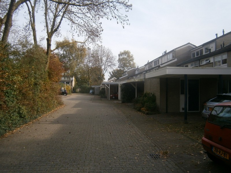 Amelinkhorst (2).JPG