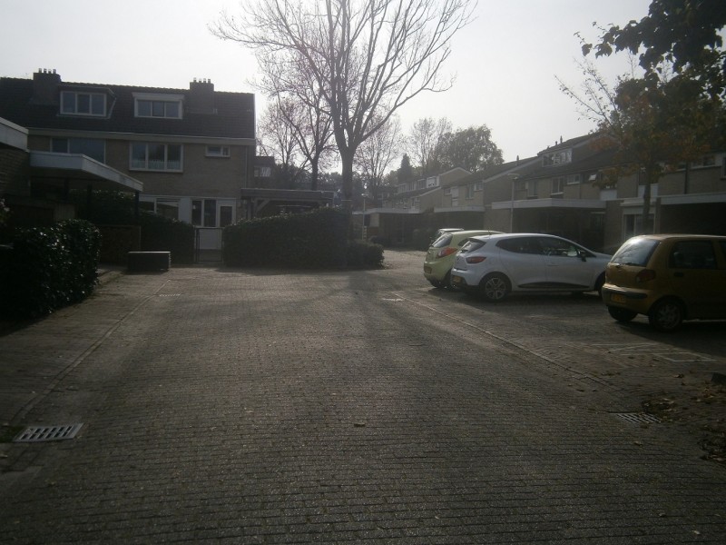 Amelinkhorst.JPG