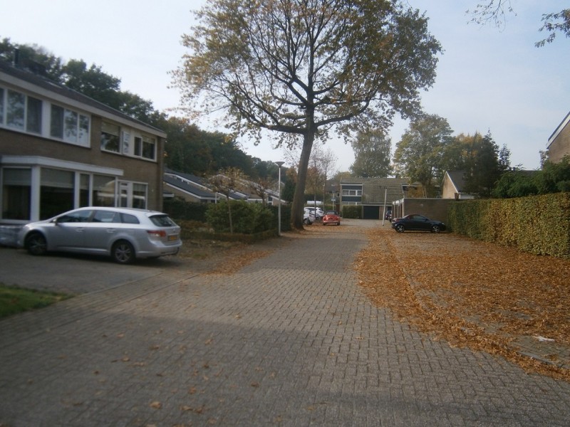 Spielehorst (2).JPG