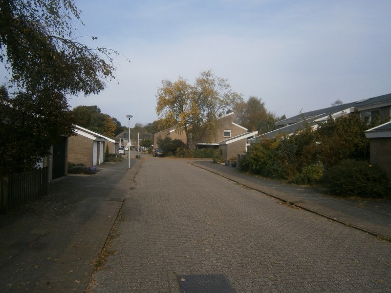 Kolthofhorst.JPG