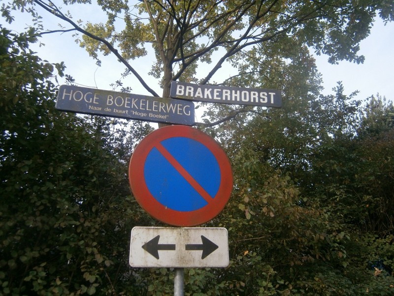 Brakerhorst Hoge Boekelerweg straatnaambord.JPG