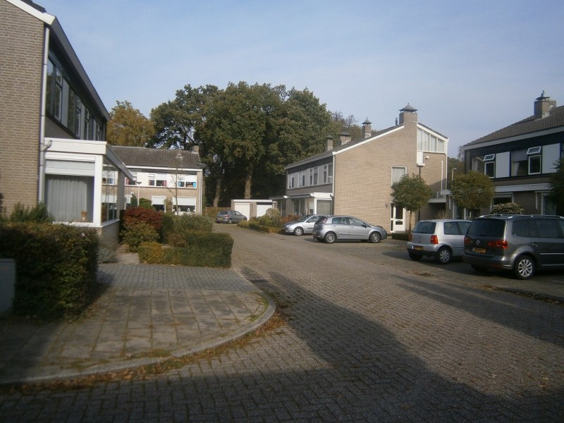 Bretelerhorst.JPG