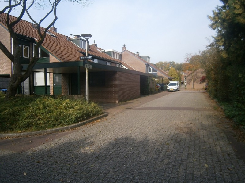 Sniedershorst (2).JPG