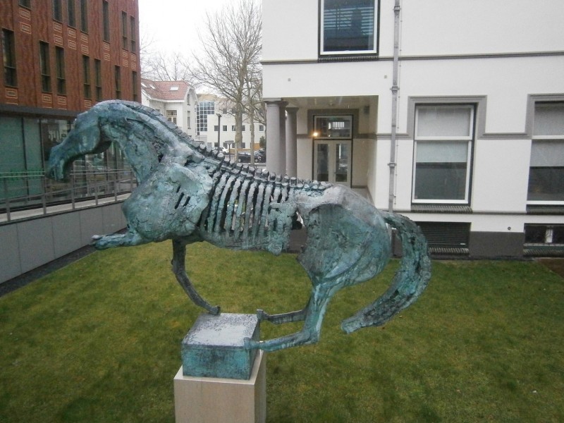 M.H. Tromplaan Saxion kunstwerk bronzen paard van kunstenaar Cees Willemsen (3).JPG