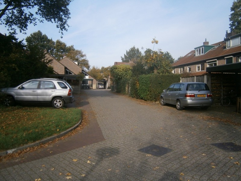 Onlandhorst.JPG