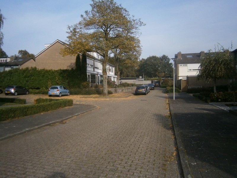 Verveldhorst (2).JPG