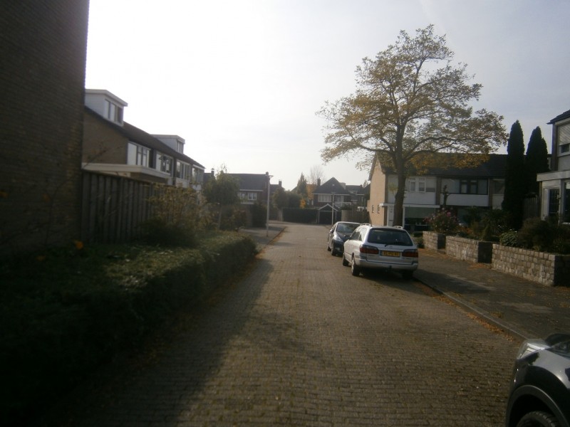 Verveldhorst.JPG