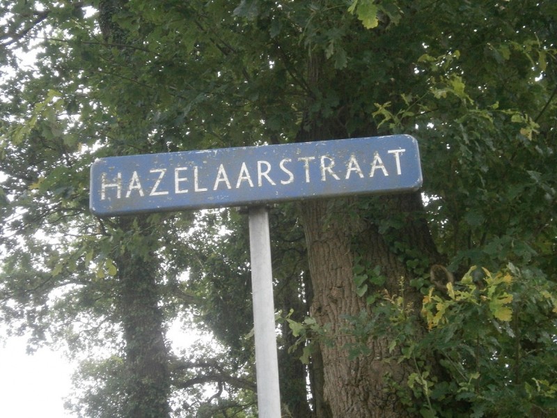 Hazelaarstraat straatnaambord.JPG