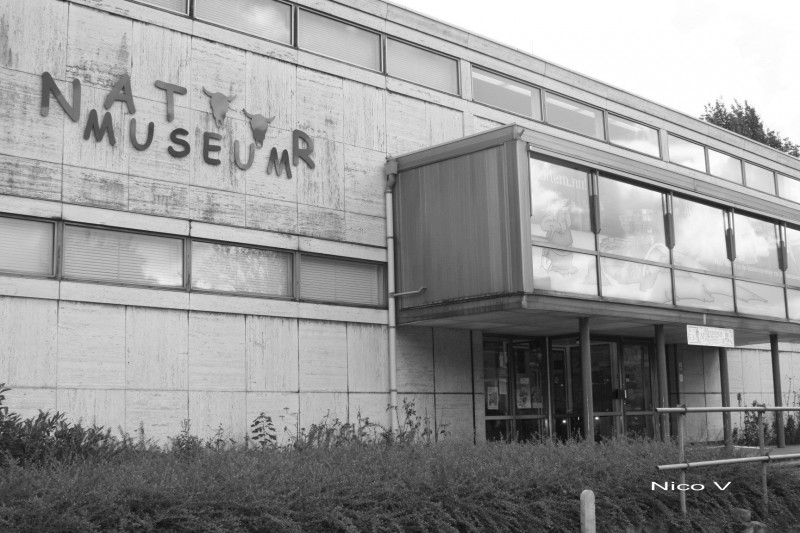 de Ruyterlaan Natuurhistorisch museum.jpg