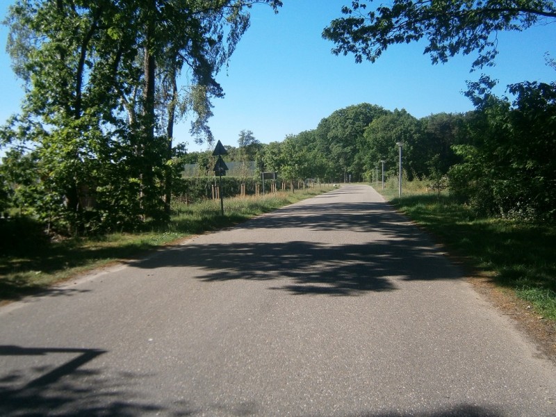 Verzetslaan vanaf Boekelosestraat.JPG