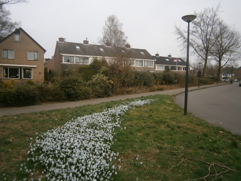 Reerinklanden (2).JPG