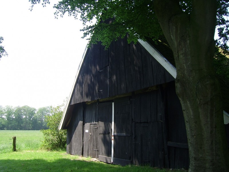 Helmerstraat wissinks mol schuur .JPG