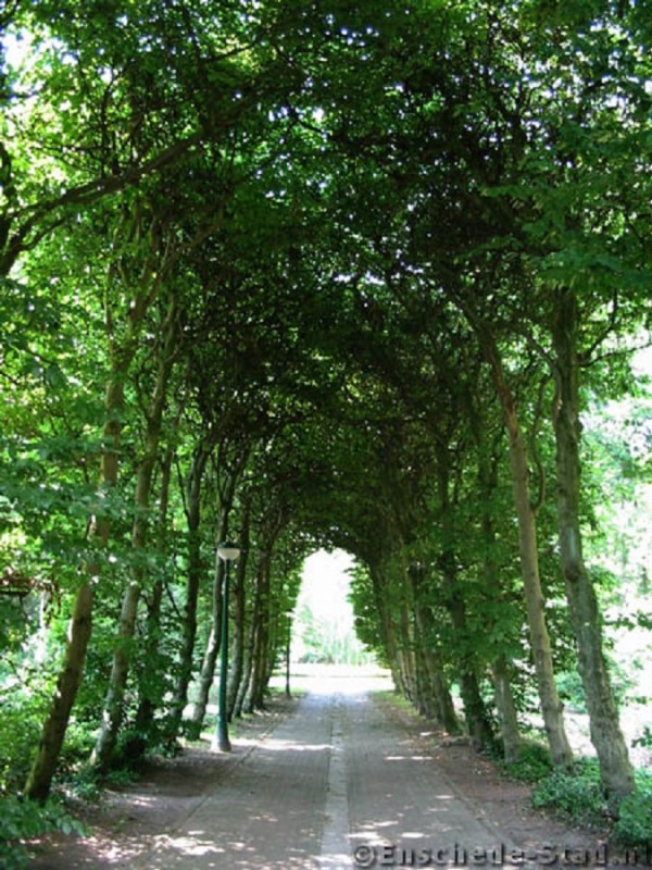 Boddenkampsingel Van Heekpark-Van Lochemsbleekpark (9).jpg