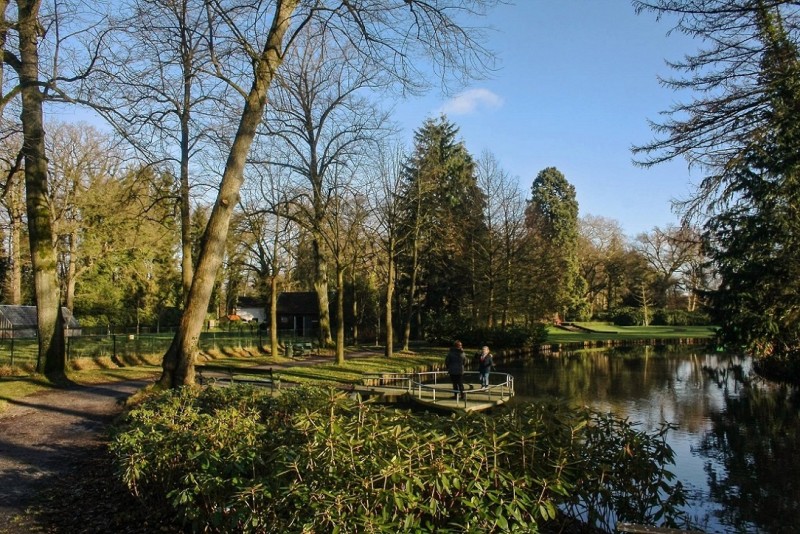 Ledeboerpark vijver .jpg