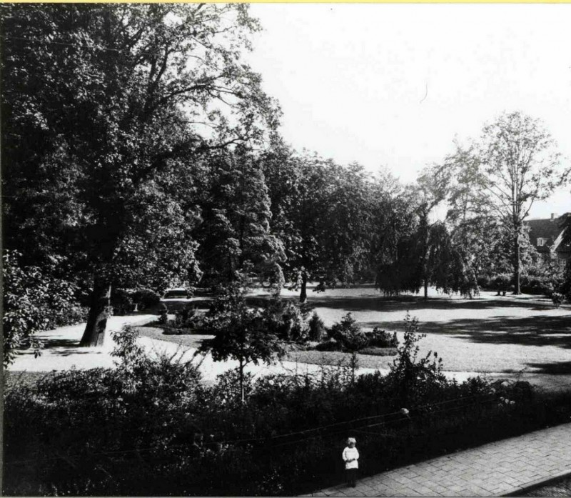 Kwartelstraat 1930 Zicht op het Nieuwlustpark. Door uitbreiding van de Grolsch is dit park verdwenen.jpg