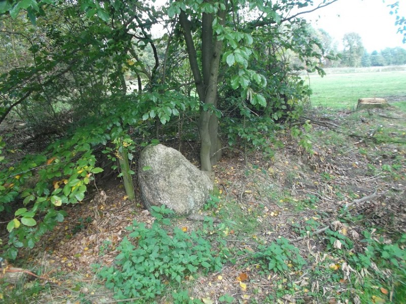 Haagsebosweg zwerfsteen aan de Haagebrook.JPG