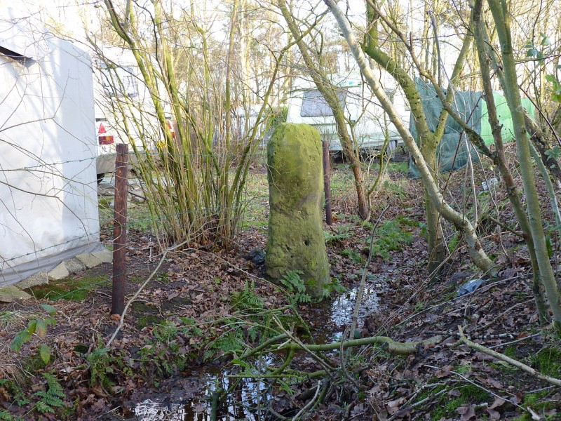 Leppeweg Usselo. Slagersmatenpaal in weide aan de Leppeweg; scheiding tussen Usseler- en Buursermarke. Rijksmonument.JPG