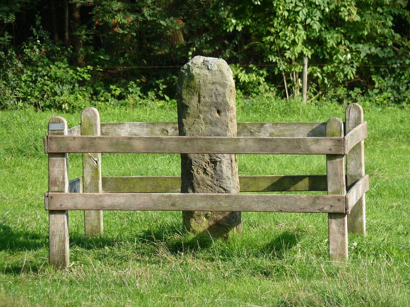 Oude Haaksbergerdijk 310 Usselo. Leppenpaal in weide bij Oude Haaksbergerdijk 310 scheiding tussen Usseler- en Buursermarke. Rijksmonument.JPG