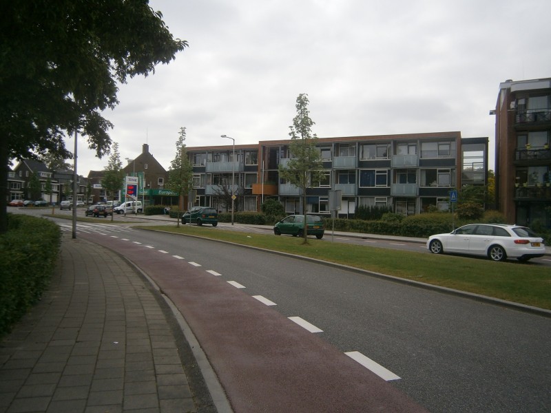 Oliemolensingel vanaf Edo Bergsmabrug.JPG