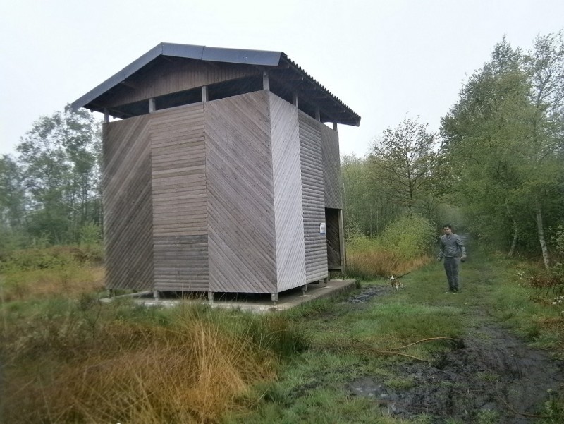 Aamsveen uitkijktoren.JPG