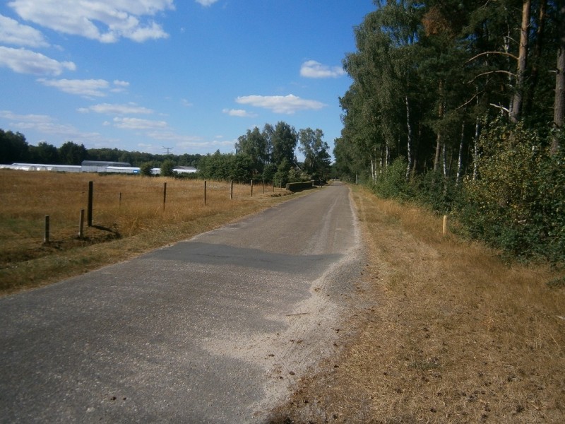 Vloeiweidenweg vanaf Kwinkelerweg.JPG