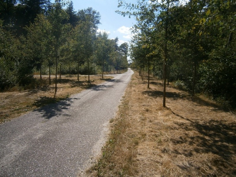 Boekelerhofweg.JPG