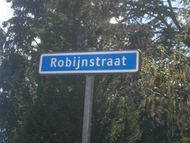 Robijnstraat straatnaambord.JPG
