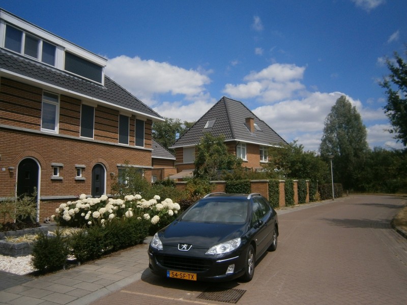 Carel Belstraat.JPG