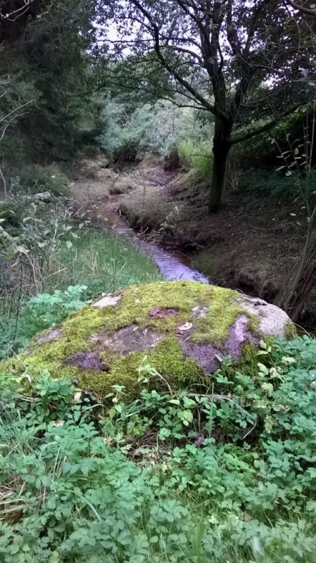 Noordergrensweg Bergwönnersteen rijksmonument.jpg
