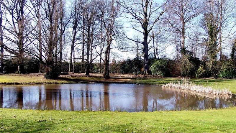 Hengelosestraat 111 villa Schuttersveld tuin met vijver rijksmonument.jpg