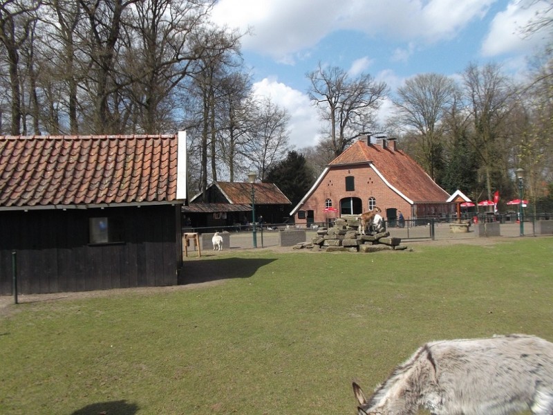 Gronausestraat wooldrikspark kinderboerderij.JPG