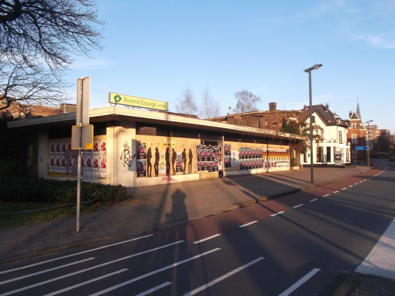 Molenstraat hoek Deurningerstraat vm pand bloemenwinkel De Eeuwige Lente vroeger pand Bruningmeijer.JPG