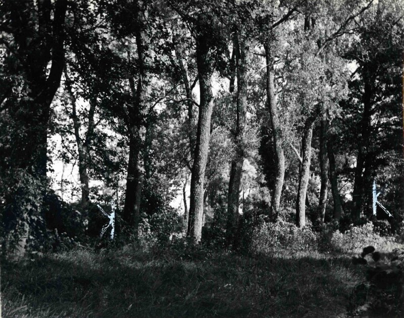 Verwooldsweg sept. 1948.jpg