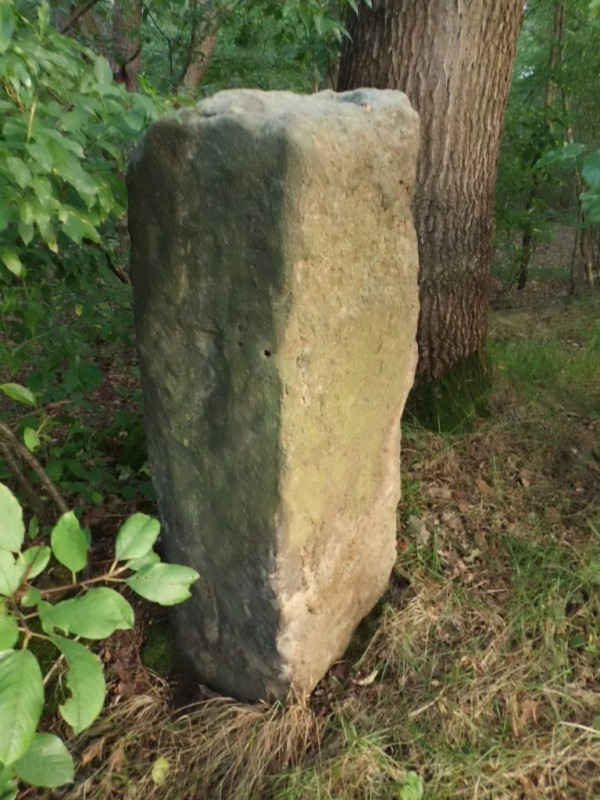 Moorveenweg Usselo Berktepaal rijksmonument.jpg