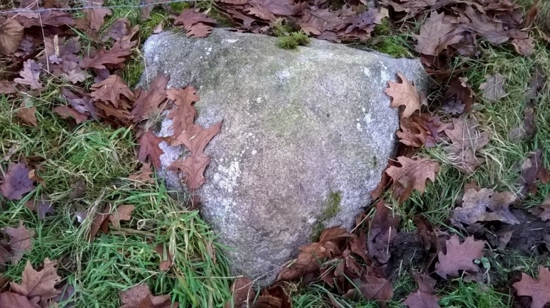 Zuidbroek landgoed zwerfsteen bij wed. Sleebos.jpg