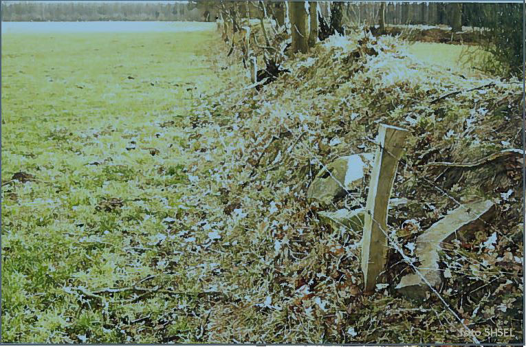 Haagsebosweg  steen aan de Aarninksbraak rijksmonument 46600.gespleten aangetroffen door de Loakstenencommissie.jpg